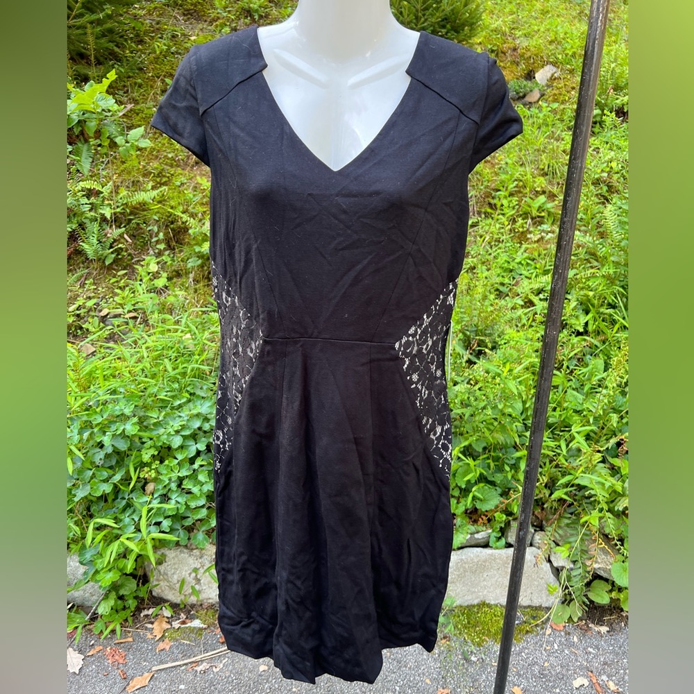 Brand New Express Dress